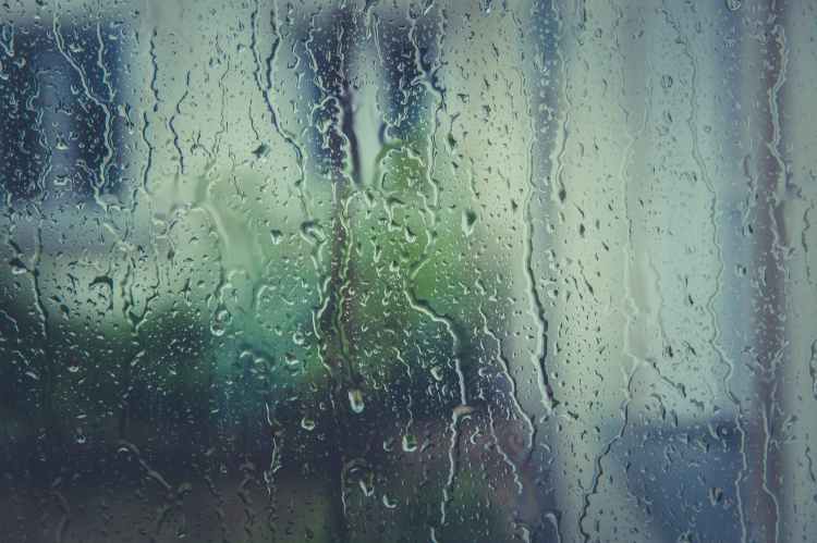 rainy rain raindrops window